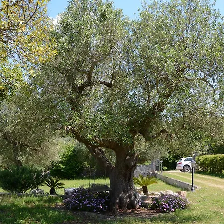 Trulli Ancestrali * Putignano